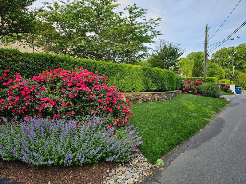 Retaining Walls