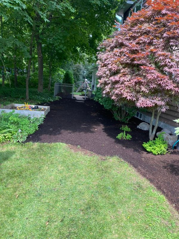 Garden Maintenance