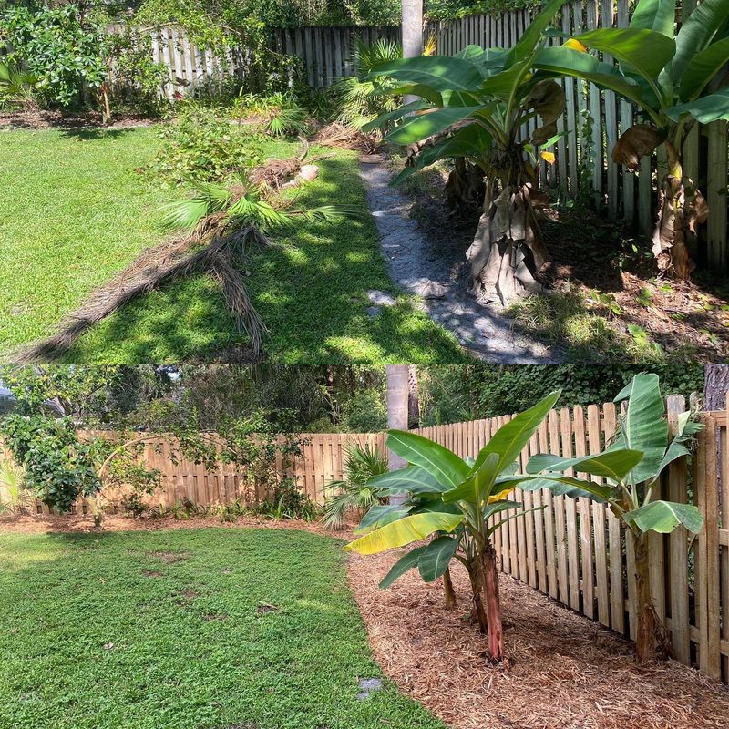 Landscape Cleanup