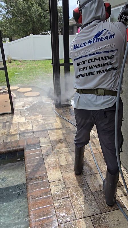 Pool Cage and Deck Pressure Washing