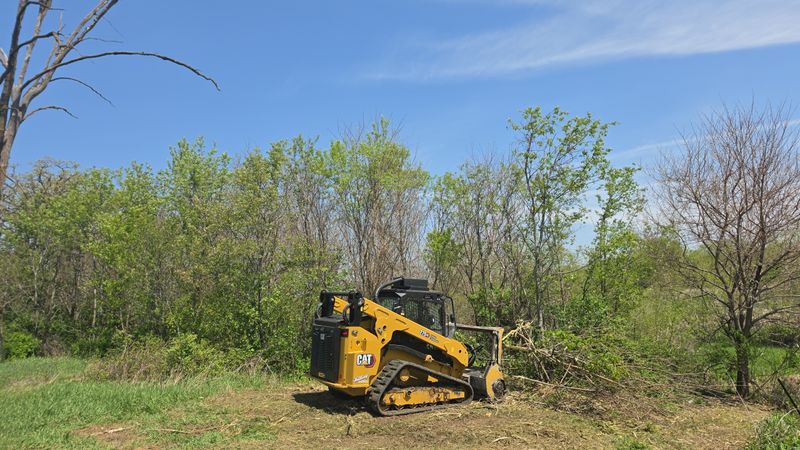 Forestry Mulching