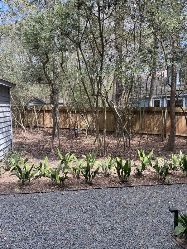 Flowerbeds