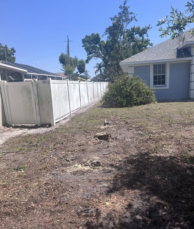 Stump Removal