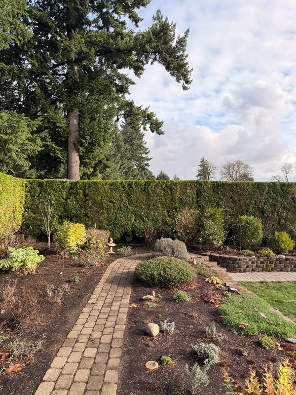 Patio Design & Construction
