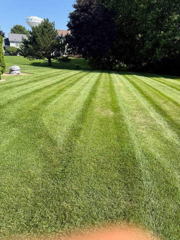 Lawn Maintenance