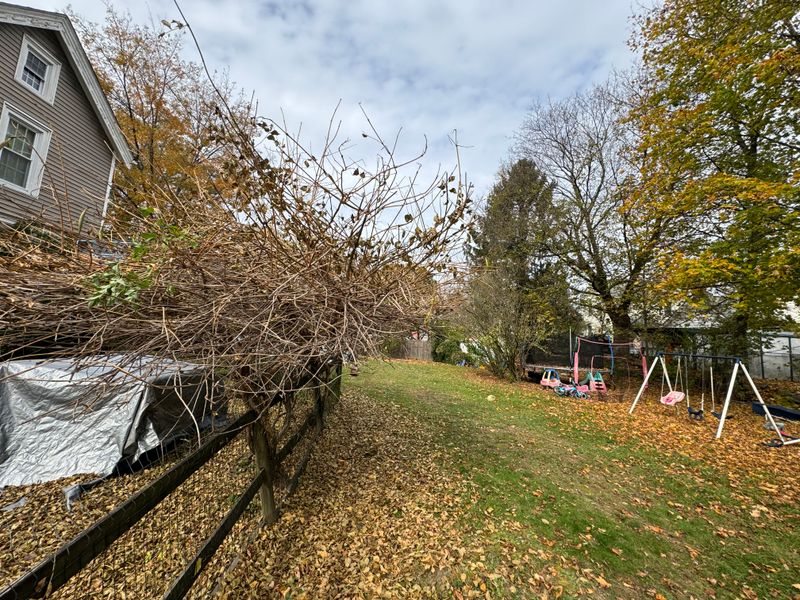 Fall Cleanup