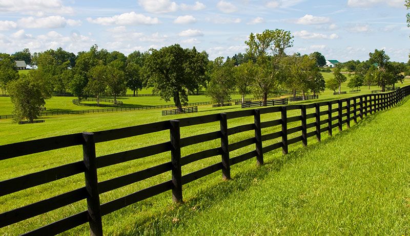 Fence Installation