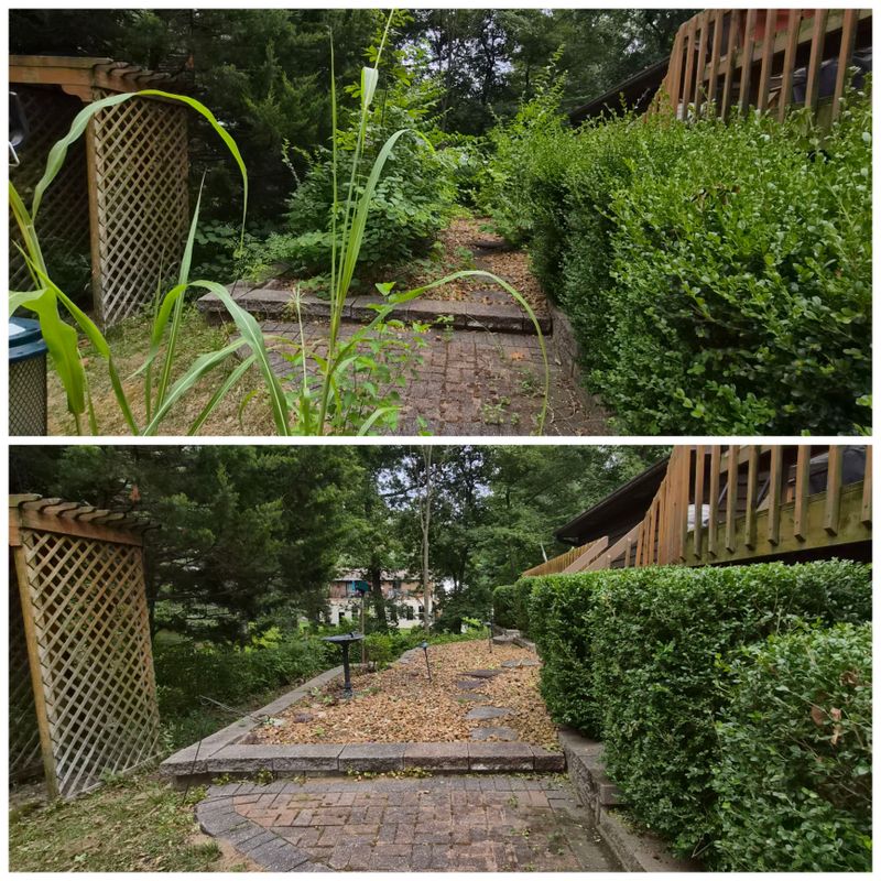 Seasonal Cleanups