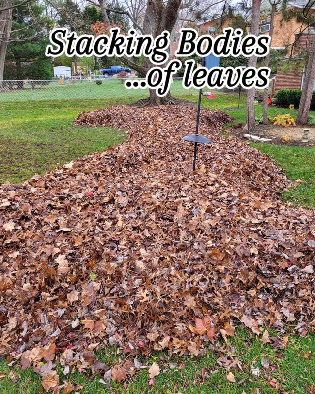 Fall Clean Up