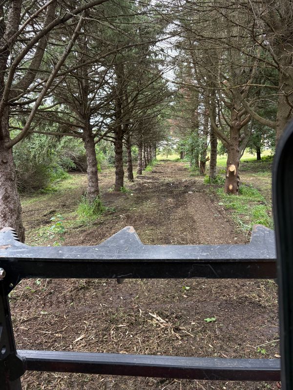 Land maintenance and brush control