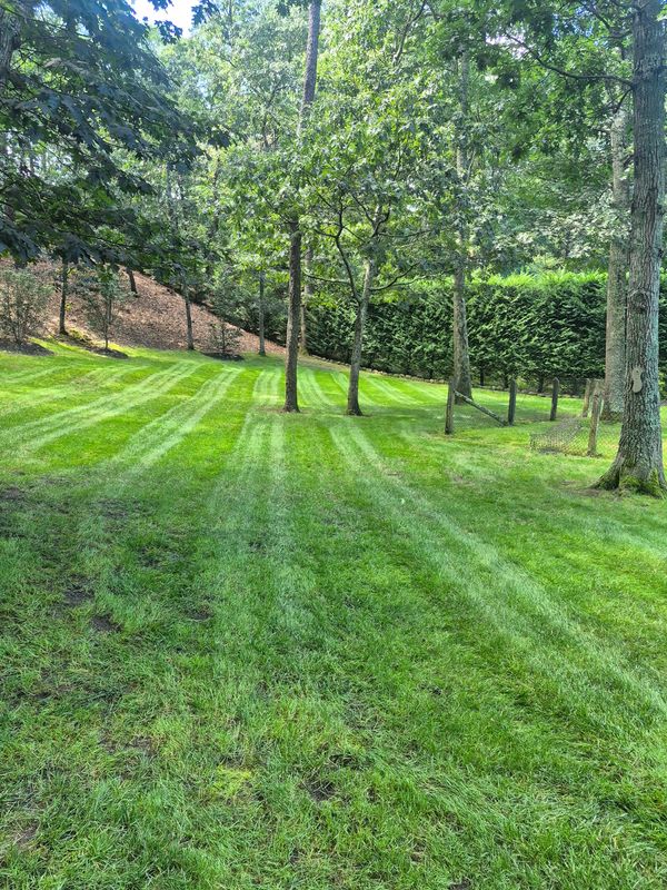 Lawn Maintenance