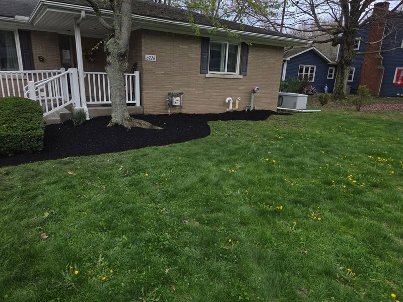 Landscaping