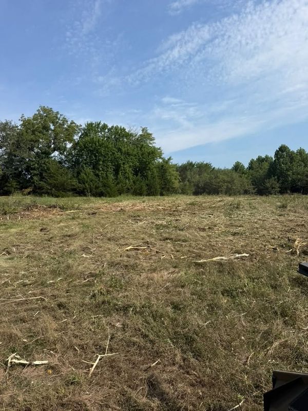 Land Clearing