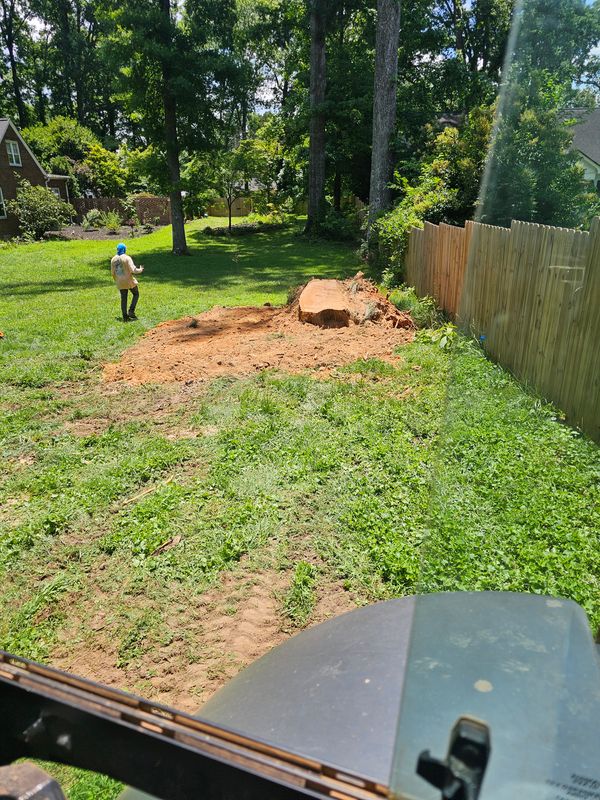 Land Clearing & Demolition