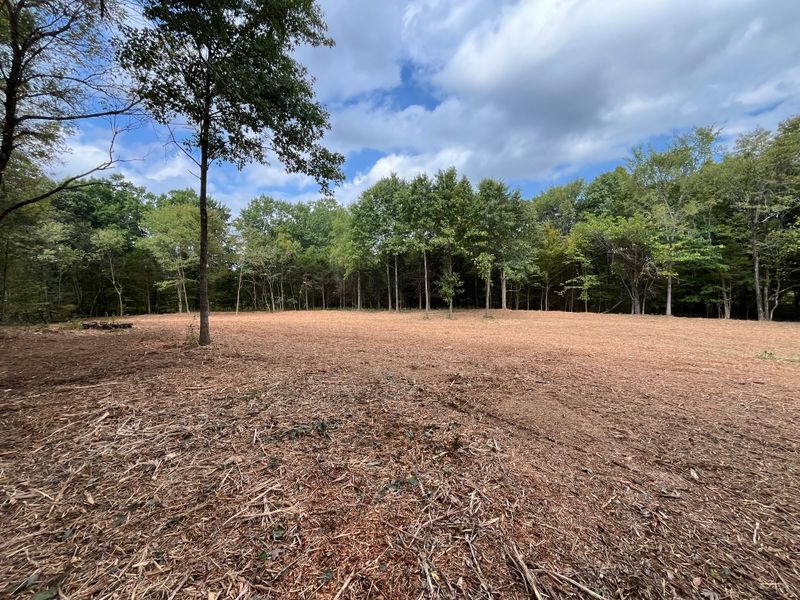 Land Clearing gallery