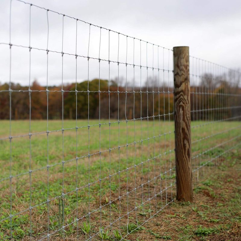 Fence Installation
