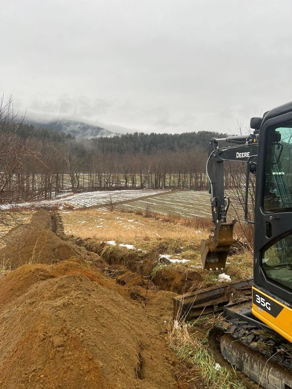 Timber and Understory Removal