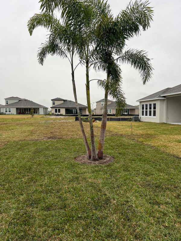 Hardscaping Landscaping
