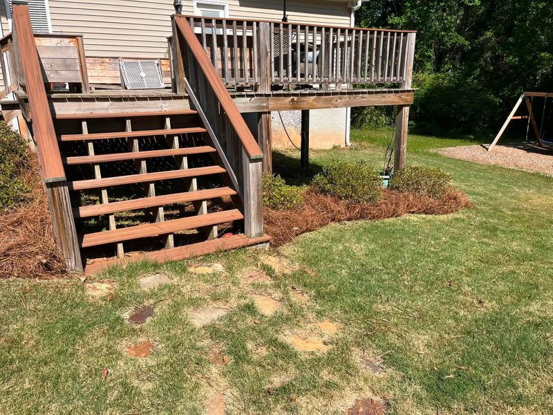 Lawn Care & Maintenance