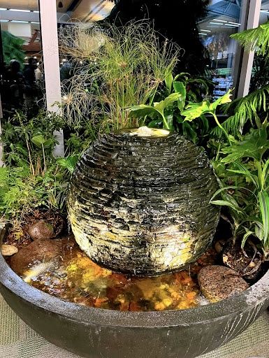 Ponds & Water Features
