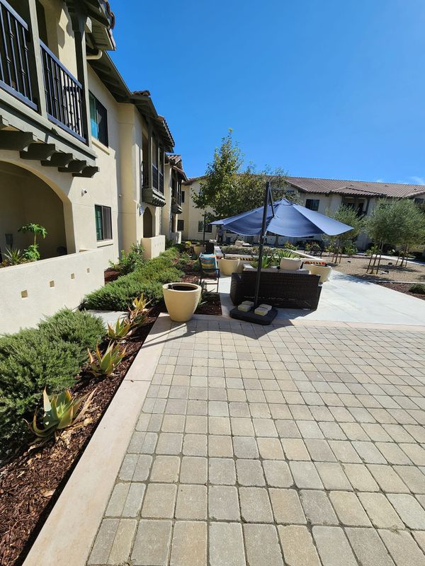 Landscape Design