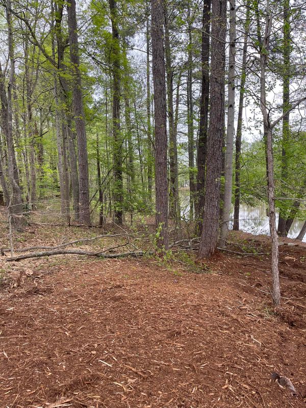Forestry Mulching gallery