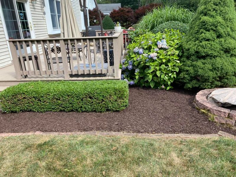 Lawn Maintenance
