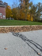 Fall and Spring Clean Up