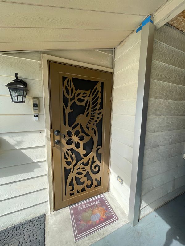 Modern Security doors