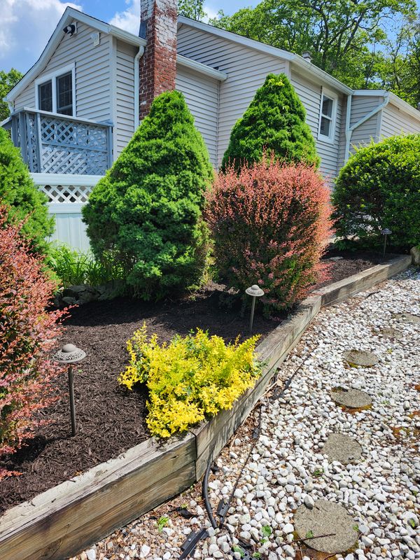 Patio Design & Construction