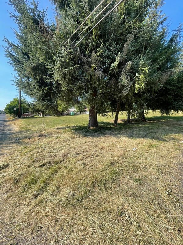 Land Clearing