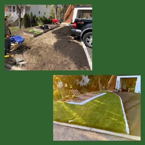 Shrub Trimming