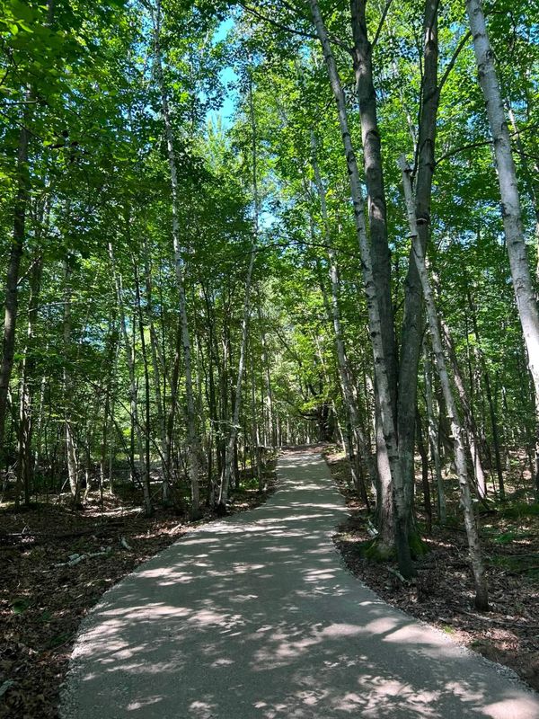 Gravel Driveway