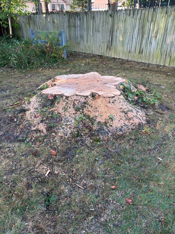 Stump Removal