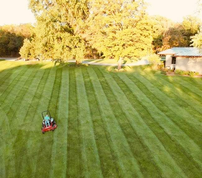 Lawn Care