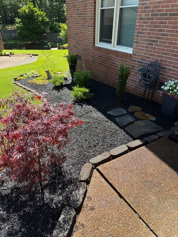 Plant & Shrub Installations