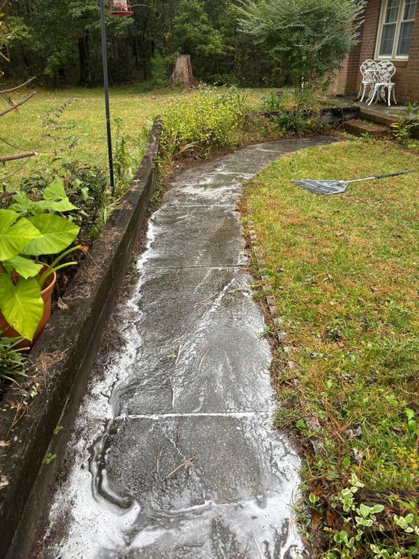 Hardscape Cleaning