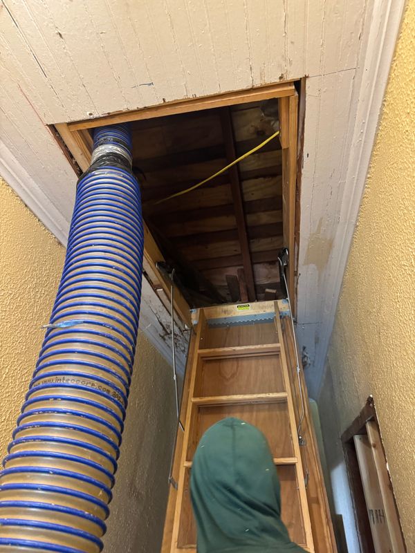 Blow In Insulation