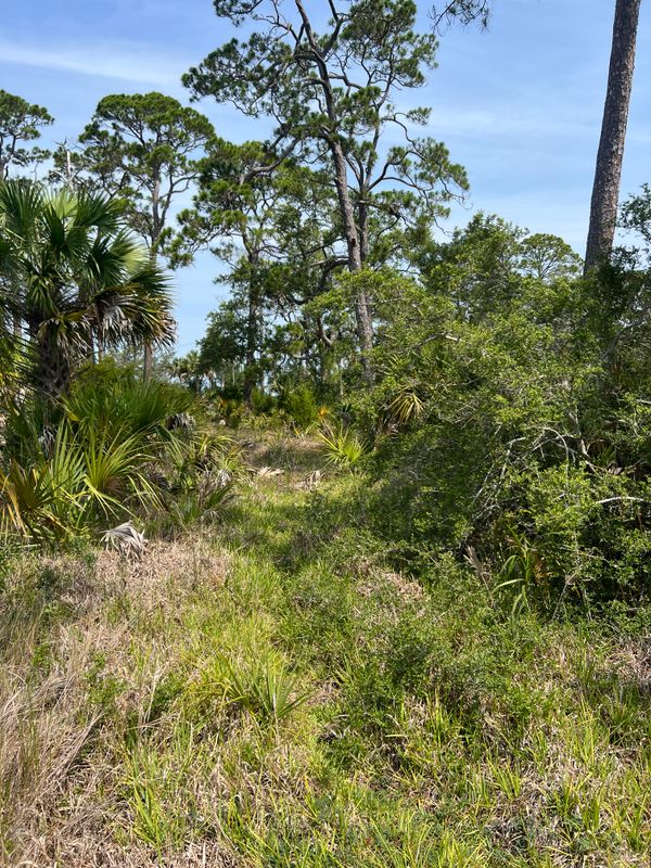 Brush cutting