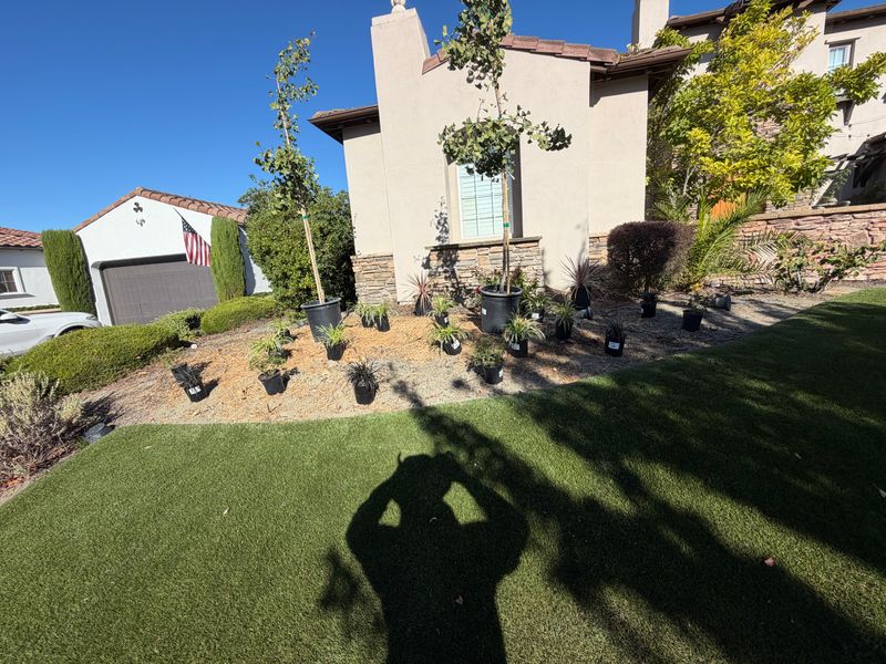 Plant Installation
