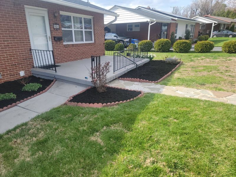 Beautiful Lawns
