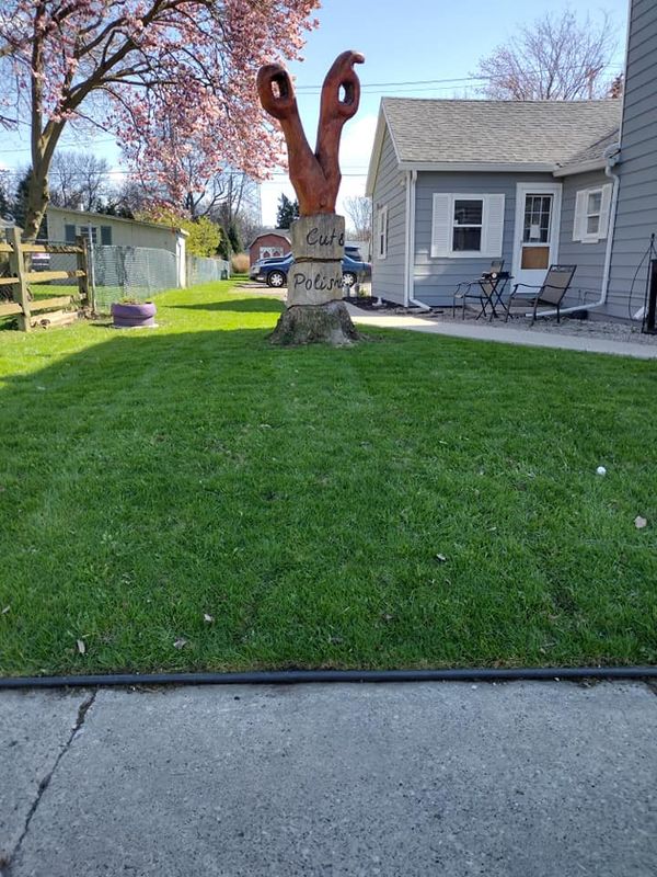 Lawn Care and Maintenance