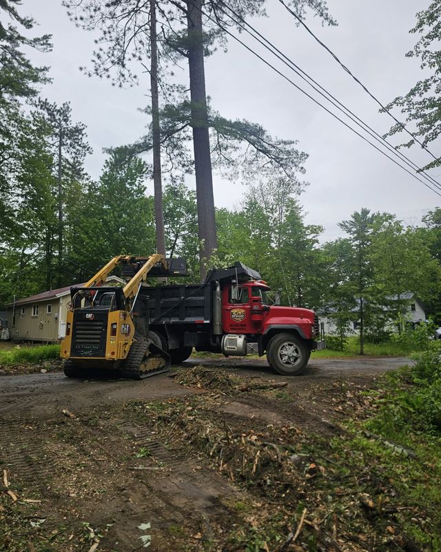 Land Clearing