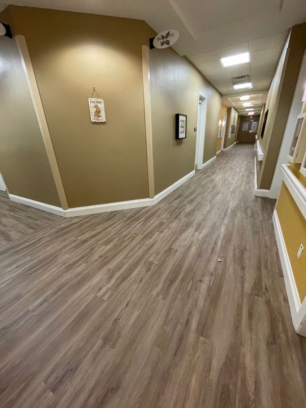 Vinyl Flooring