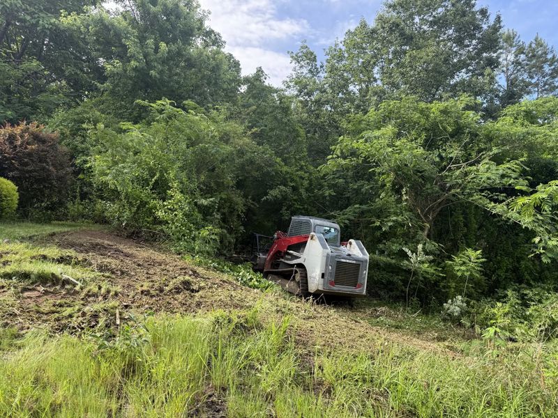 Land Clearing