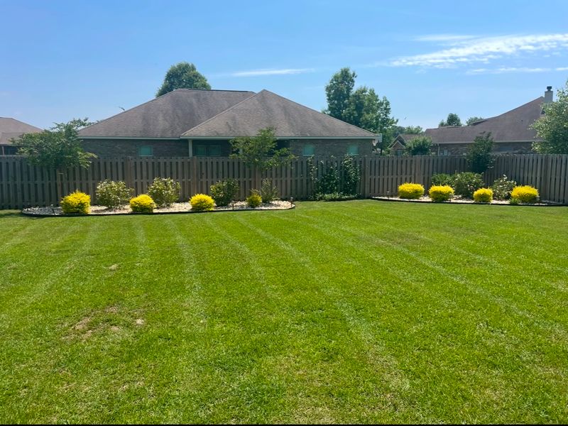 Landscape Design & Planting