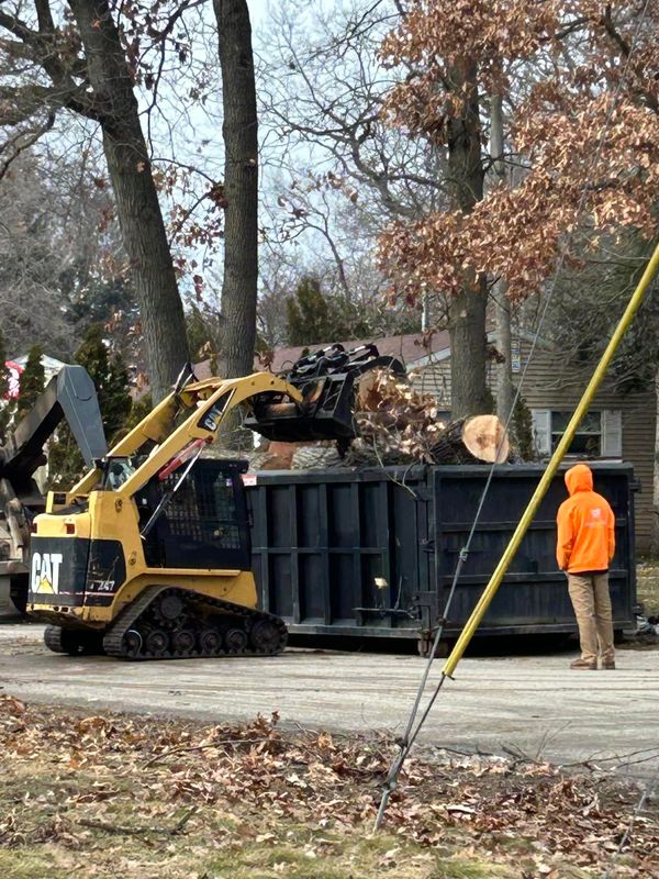 Tree Removal