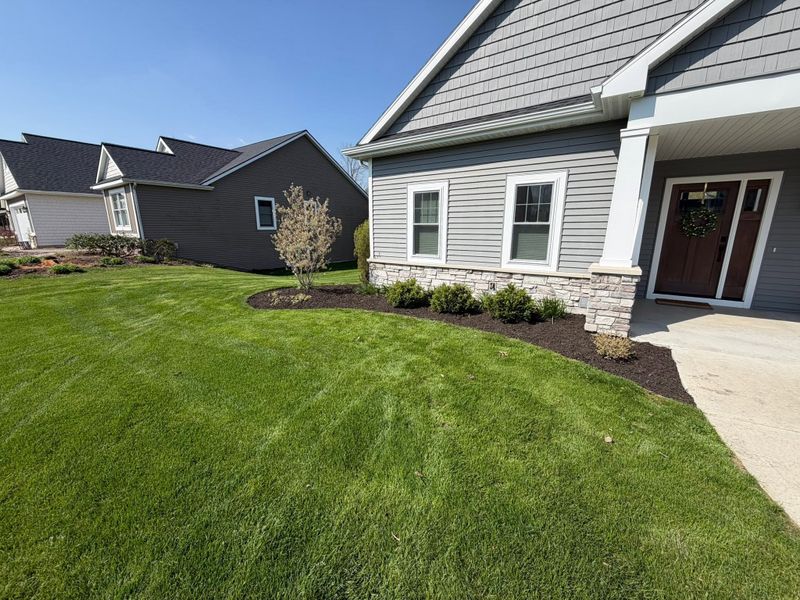 Beautiful Lawns