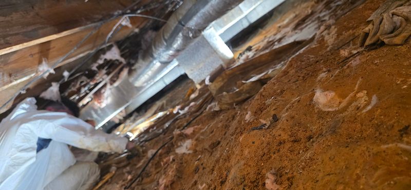Crawlspace