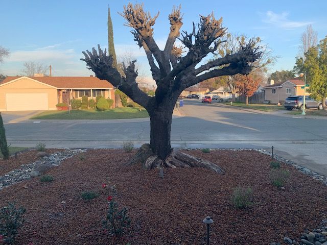 Drought Tolerant Landscapes